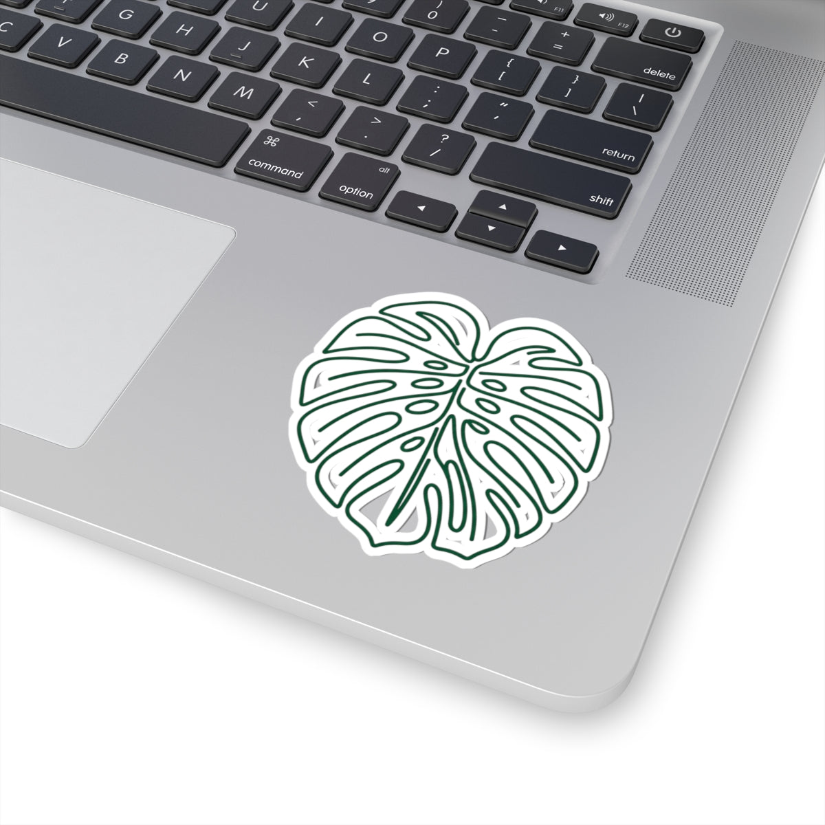 Monstera Leaf Sticker — Minimal Green Botanical Decal