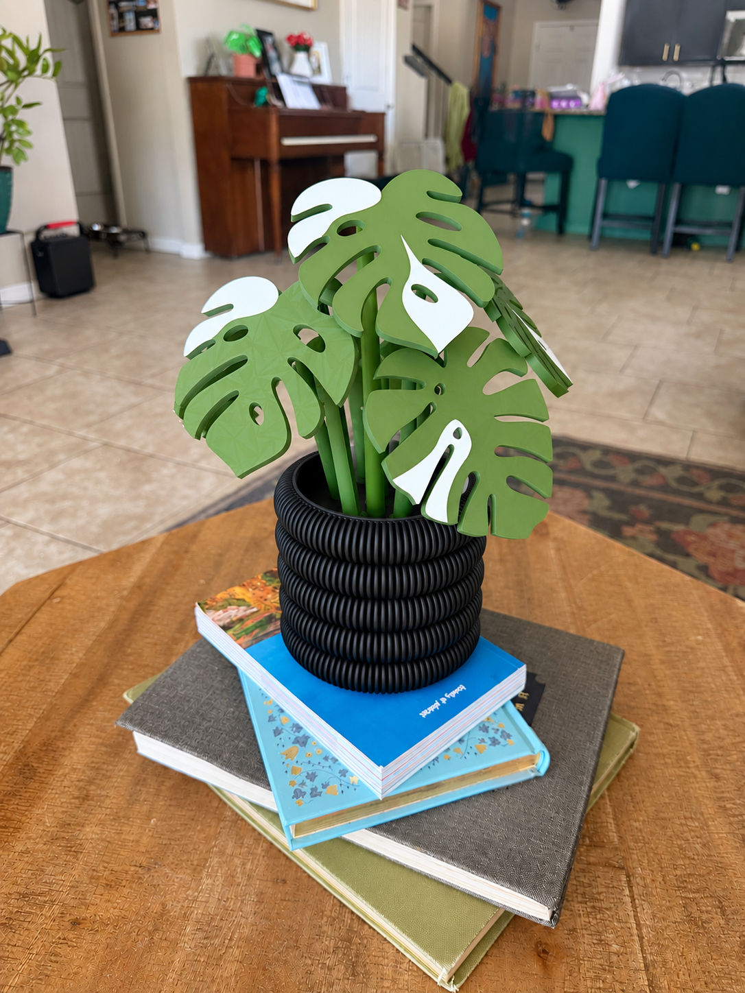 Monstera Plant with Magnetic Coasters – Albino Leaves