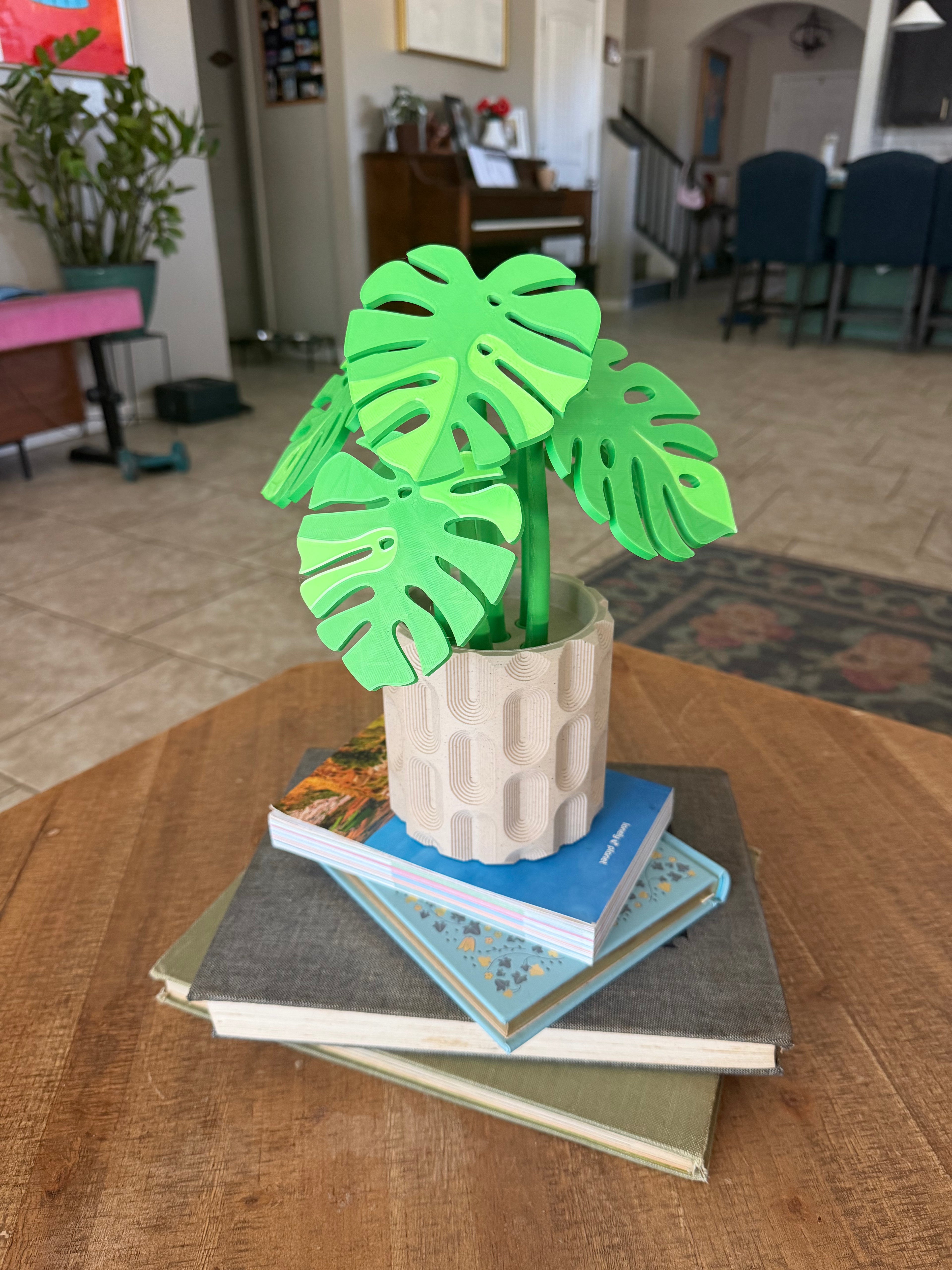 Monstera Plant with Magnetic Coasters 3d printed