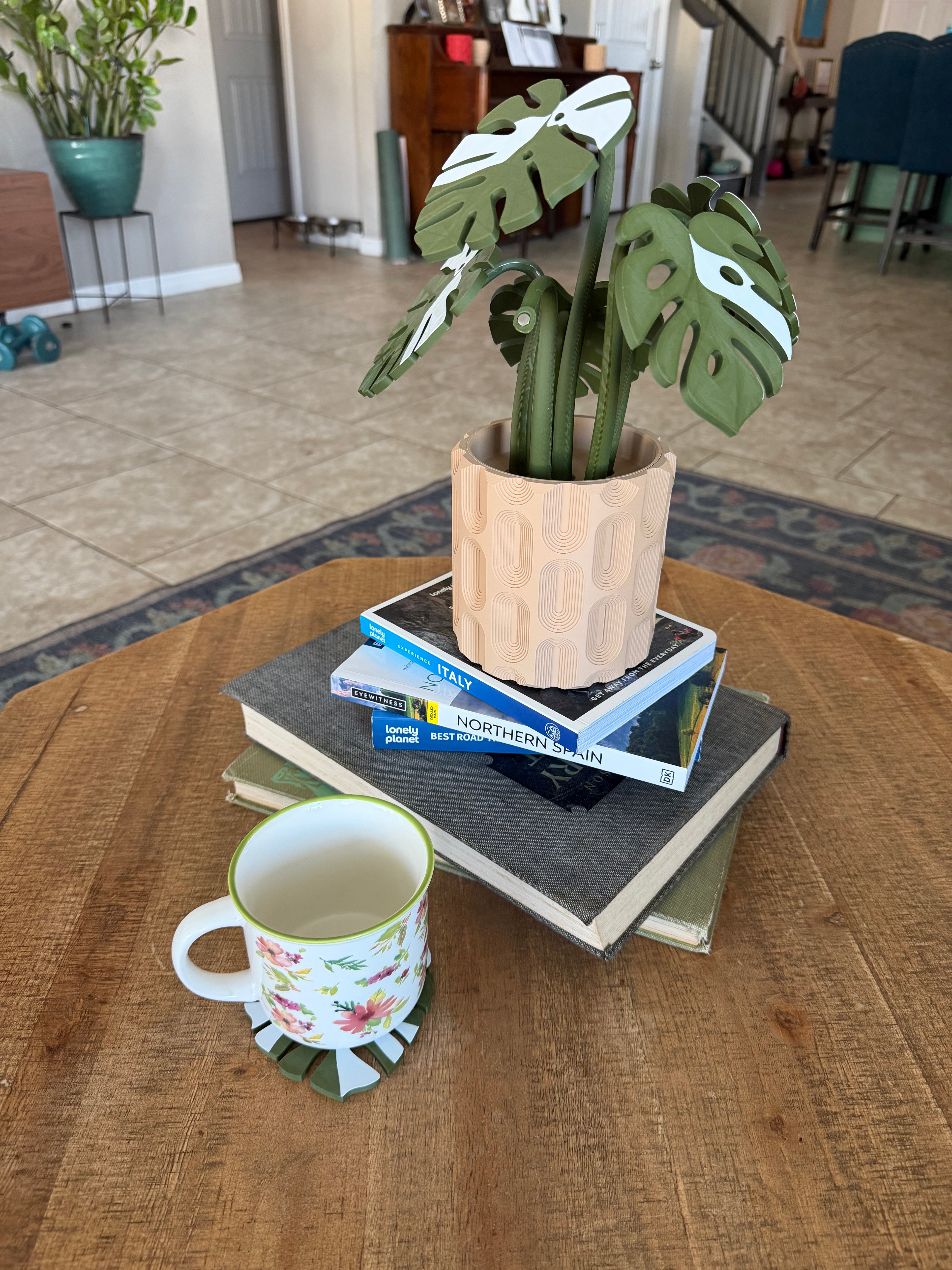 Monstera plant with magnetic coasters 3d printed