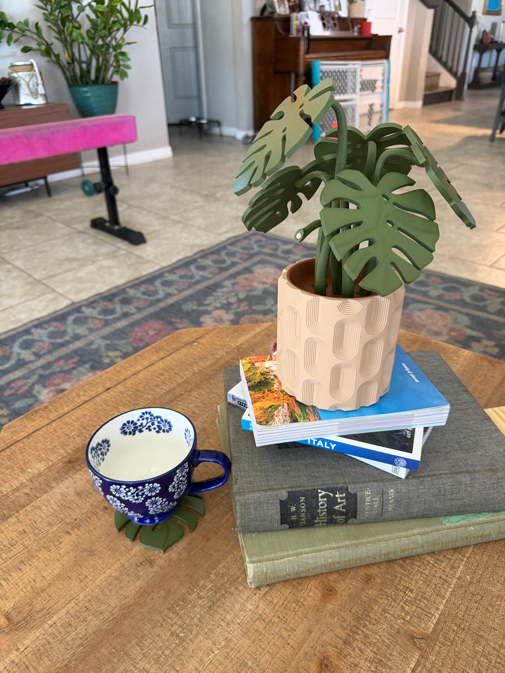 Monstera plant with Magnetic Coasters 3d printed