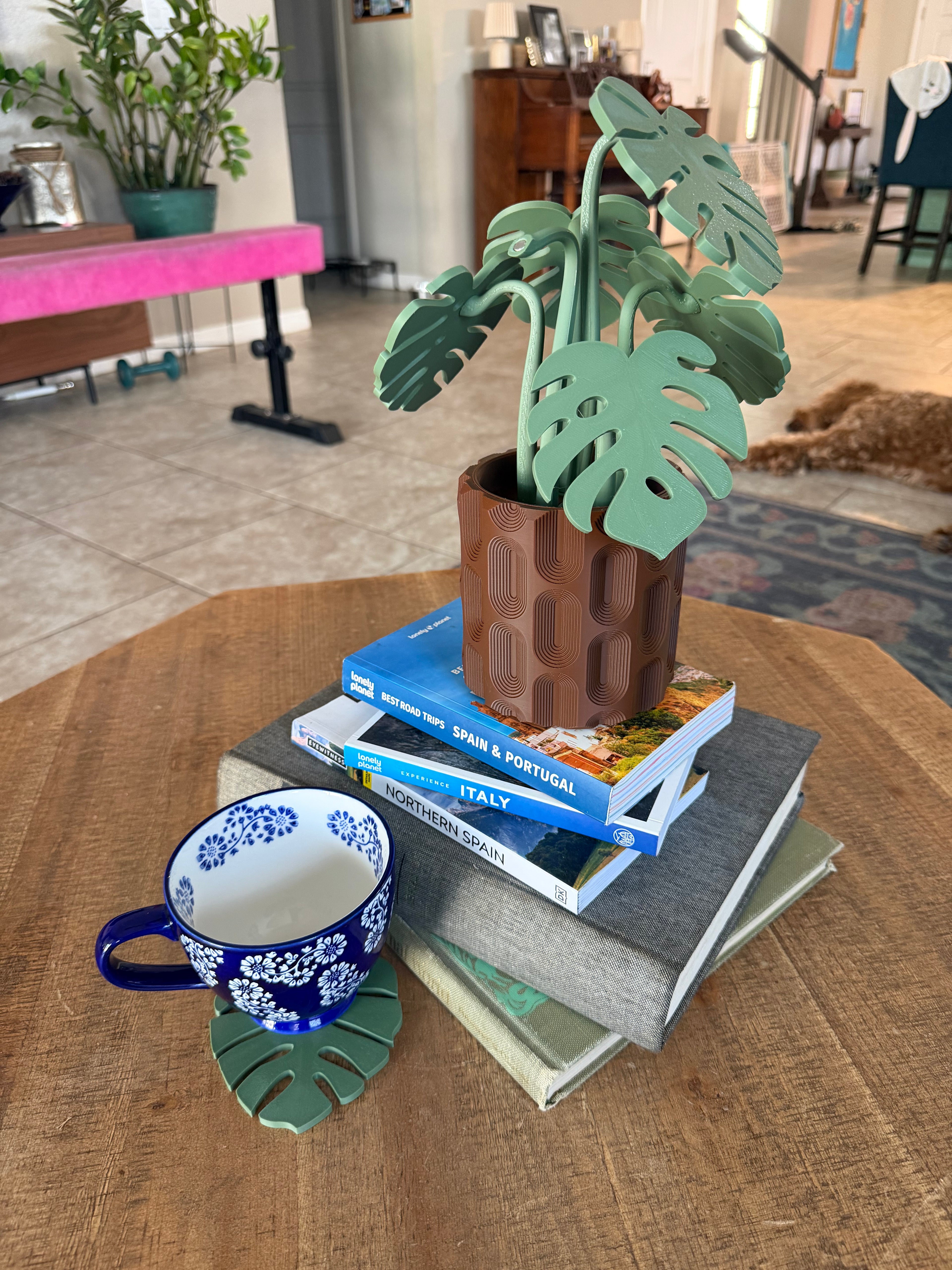 Monstera plant with magnetic coasters 3d printed