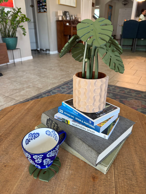 Monstera Plant with Magnetic Coasters – Dark Leaves
