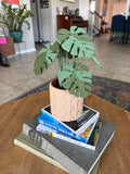 Monstera plant with Magnetic Coasters 3d printed