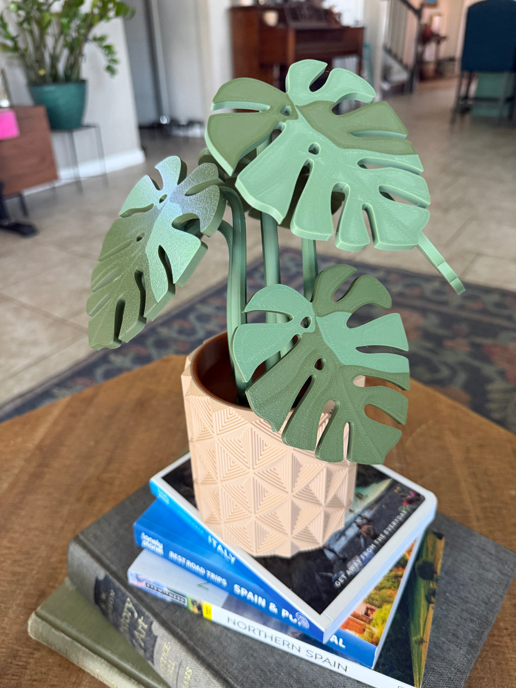 Monstera plant with Magnetic Coasters 3d printed