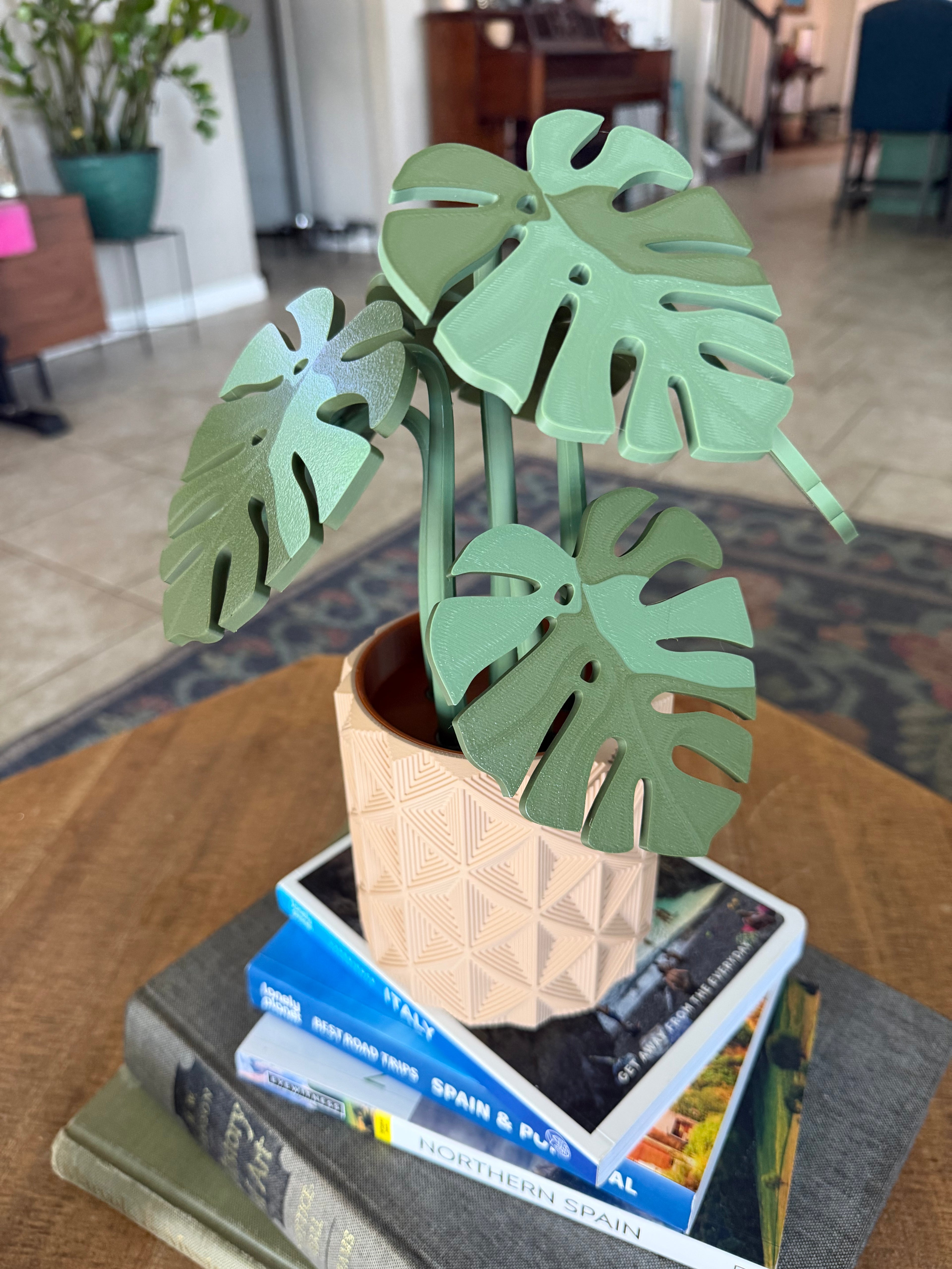 Monstera plant with Magnetic Coasters 3d printed